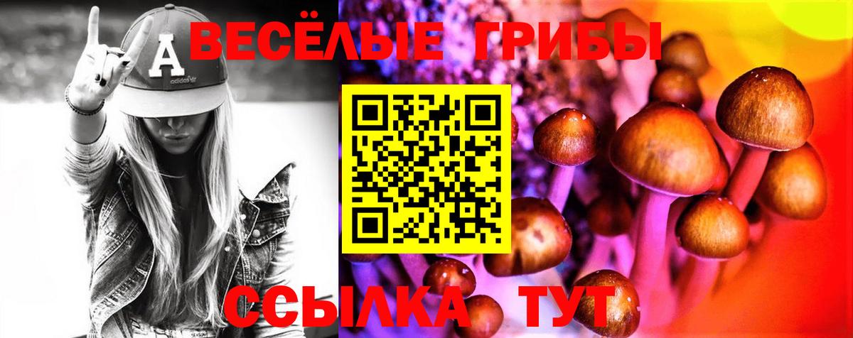 Белогорск  Галлюциногенные грибы Psilocybe  Вход с VPN 